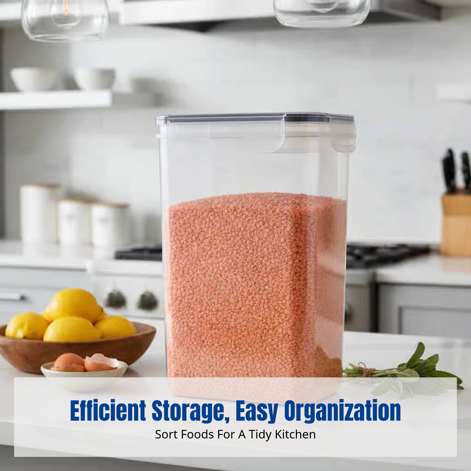 Airtight Food Storage Containe - Food Storage Plastic 评论和价格
