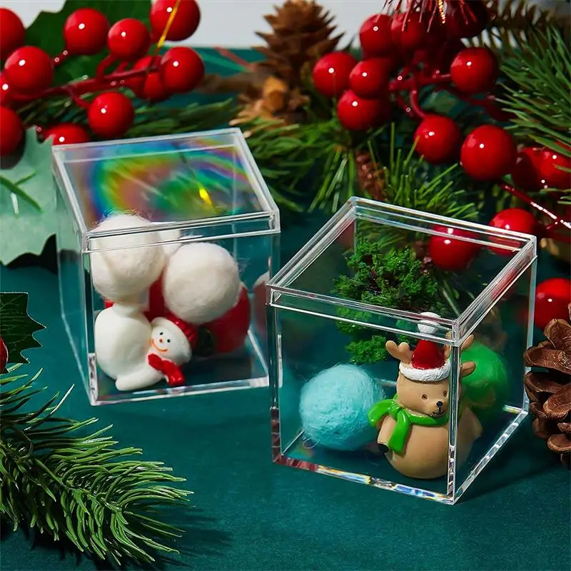 12 PCS Transparent Acrylic Box - Xmas Food Storage Containers 评论和价格