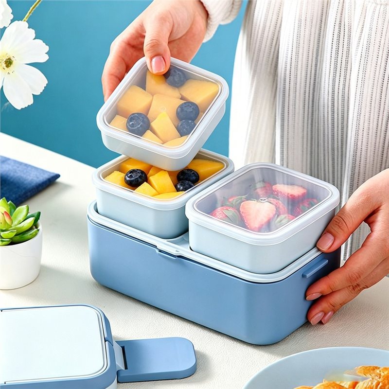 [NEW!A08R】 Picnic Lunch Box Ch - Food Storage News 评论和价格